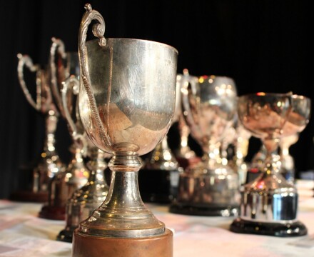 Cups photo